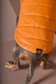 Dachshund Orange Puffer Turtleneck Jacket EMBER
