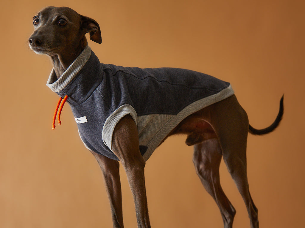 Italian Greyhound / Whippet Dark Grey Turtleneck Vest SOPHIE