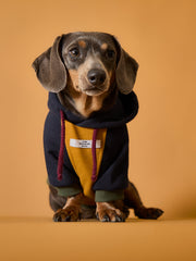 Dachshund Tricolor Hoodie Sweater GABRIELLE
