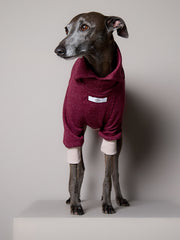 Italian Greyhound / Whippet High-Neck Burgundy Sweater DUSK