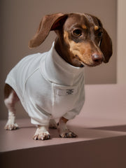Dachshund Cream Turtleneck Sweater COVE