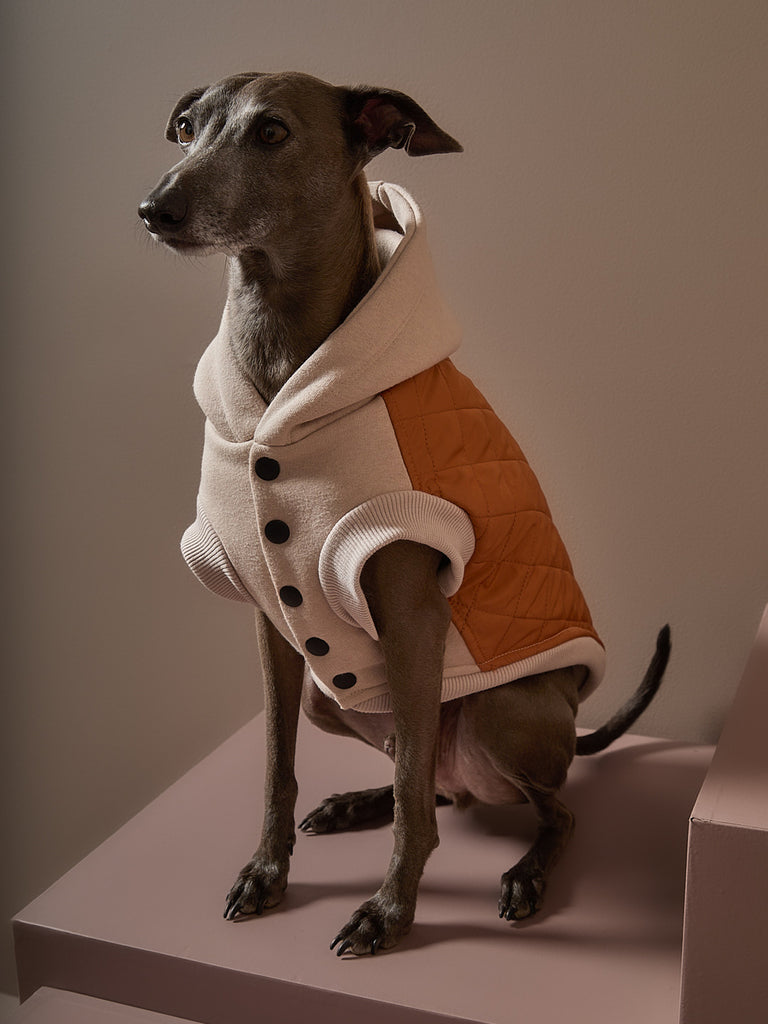 Quilted Hooded Vest for Italian Greyhound and Whippet – The Striped Dog