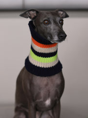 Dark Multicolored Striped Knit Scarf NICE