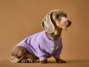 Dachshund Lilac T-shirt BALZAC