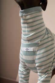 Italian Greyhound / Whippet Turquoise and Cream Striped Turtleneck Sweater REED