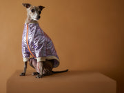 Italian Greyhound / Whippet Metallic Lilac Bomber Jacket with Zipper OPERA
