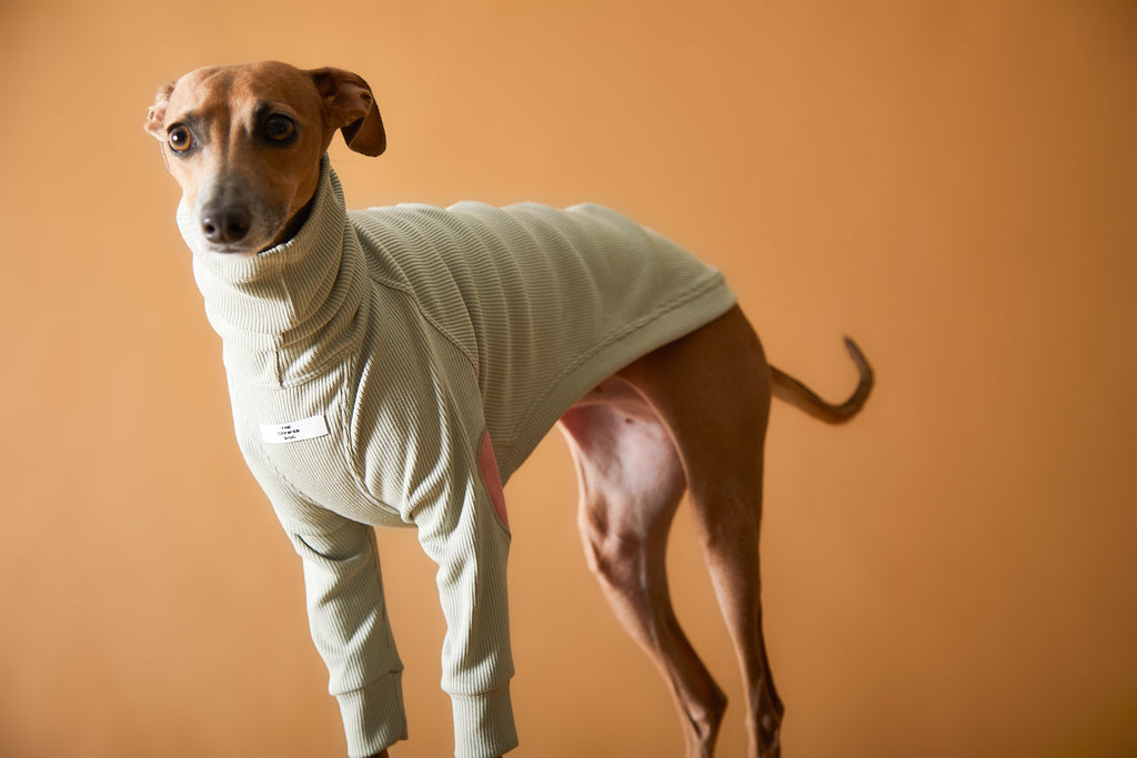 Italian Greyhound / Whippet Ribbed Turtleneck Sweater TULERIE