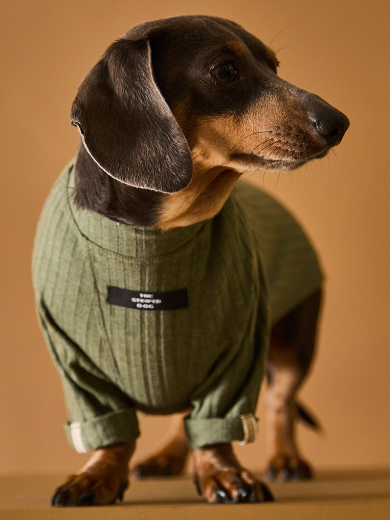 Dachshund Green Ribbed T-shirt CLAIRE