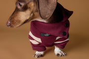Dachshund Burgundy Christmas Sweater HOHOHO