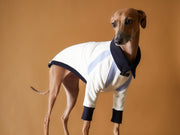 Italian Greyhound / Whippet Tricolor Turtleneck Sweater EMILY