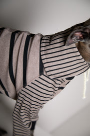 Italian Greyhound / Whippet Taupe and Black Striped Sweater LINE
