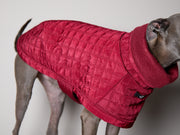 Italian Greyhound / Whippet Quilted Turtleneck Coat VELA