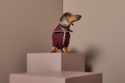 Dachshund Burgundy Sweater with Zipper KNIT