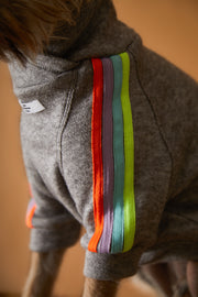 Grey sweater with neon details for dogs