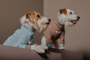 Mokka Waffle Sweater GRAIN
