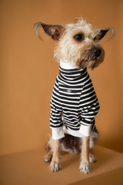 Striped Turtleneck Sweater ELOISE