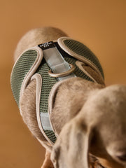 Military Green Neoprene Harness with Reflective Stripe CLAREMONT