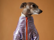 Italian Greyhound / Whippet Metallic Lilac Bomber Jacket with Zipper OPERA