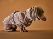 Dachshund Taupe Waterproof Turtleneck Jacket RUE