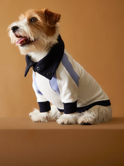 Tricolor Turtleneck Sweater EMILY