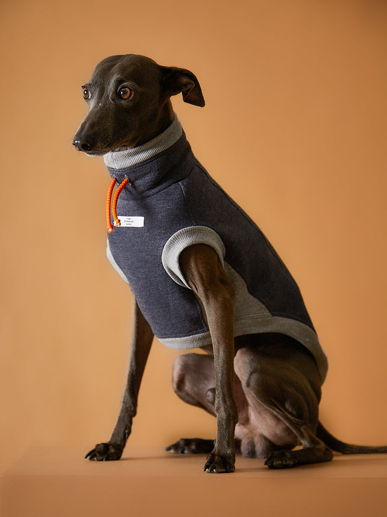 Italian Greyhound / Whippet Dark Grey Turtleneck Vest SOPHIE