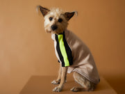 Turtleneck Sweater BELLE