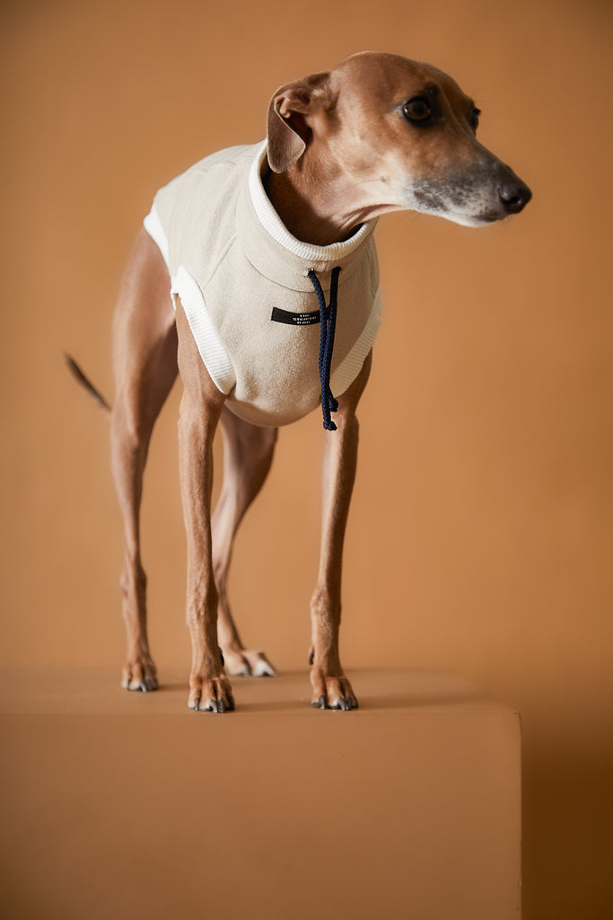 Italian Greyhound / Whippet Sand Turtleneck Vest SOPHIE