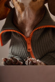 Dachshund Military Green Sweater with Zipper KNIT