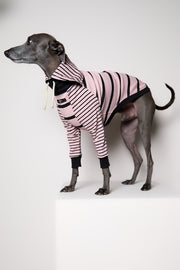 Italian Greyhound / Whippet Pink and Black Striped Sweater LINE