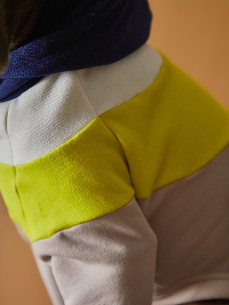 Color-blocked hoodie for Italian Greyhound and Whippet