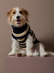 Striped Knit Sweater KYRA