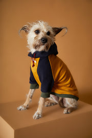 Tricolor Hoodie Sweater GABRIELLE