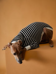 Italian Greyhound / Whippet Striped Turtleneck Sweater ELOISE
