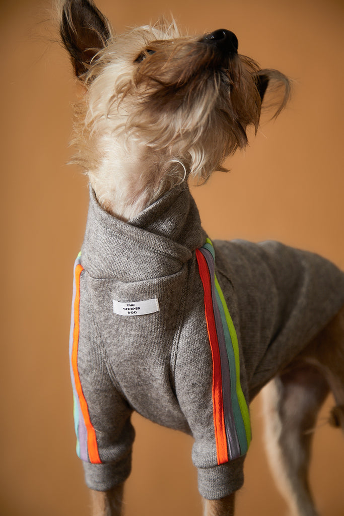 Grey sweater for dogs