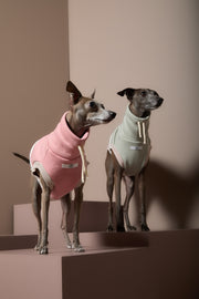 Italian Greyhound / Whippet Color-Block Turtleneck Vest SHEAR