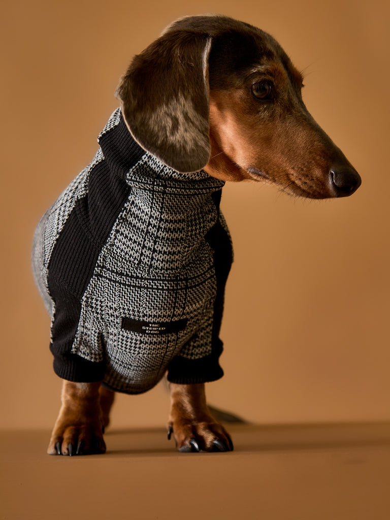 Dachshund Plaid Black and White Jacquard Turtleneck Sweater YVES