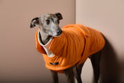 Italian Greyhound / Whippet Orange Turtleneck Puffer Jacket EMBER