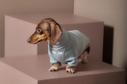 Dachshund Dust Blue Waffle Sweater GRAIN