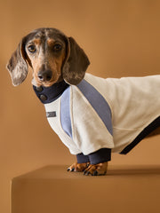 Dachshund Tricolor Turtleneck Sweater EMILY