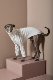 Italian Greyhound / Whippet Cream Turtleneck Sweater COVE