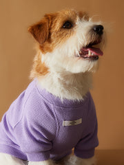 Lilac T-shirt BALZAC