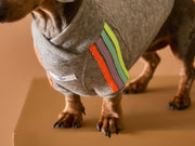 Grey lightweight sweater for Dachshunds