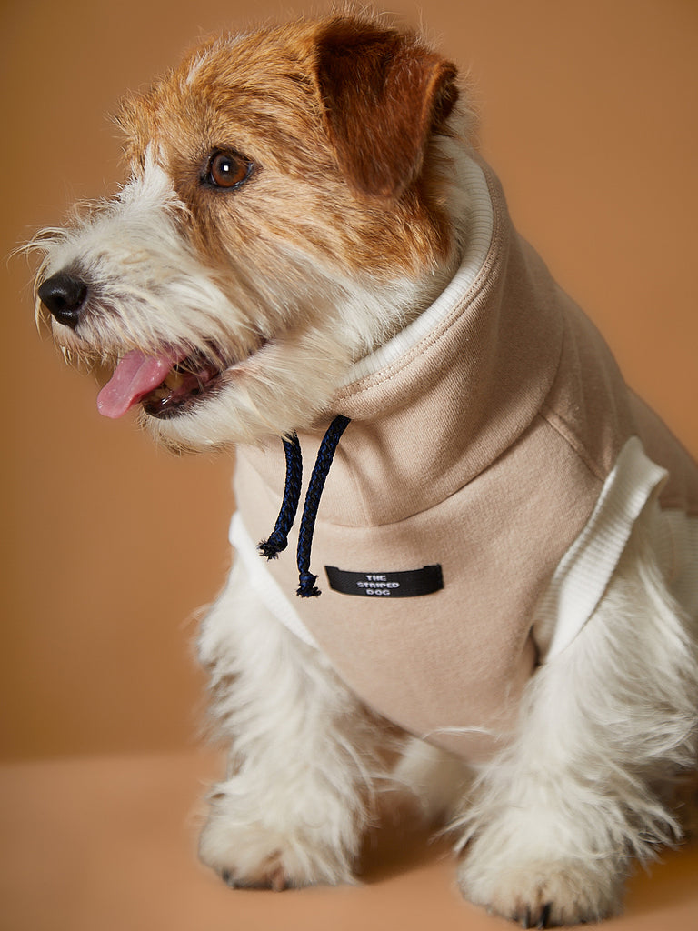 Sand Turtleneck Vest SOPHIE