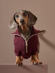Dachshund Burgundy Sweater with Zipper KNIT