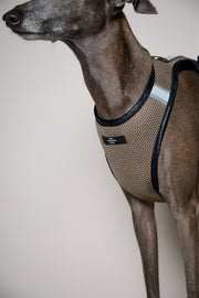 Italian Greyhound / Whippet Brown & Black Mesh Harness COBBLESTONE