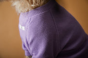 Lilac T-shirt BALZAC