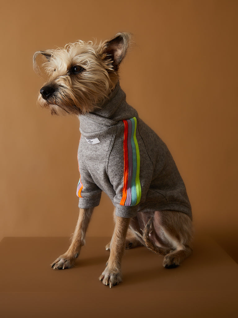 Grey dog sweater