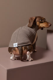 Dachshund Taupe Turtleneck Sweater CAIRO