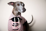 Italian Greyhound / Whippet Pink and Black Striped Sweater LINE