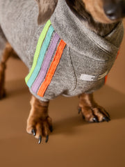 Grey lightweight sweater for Dachshunds